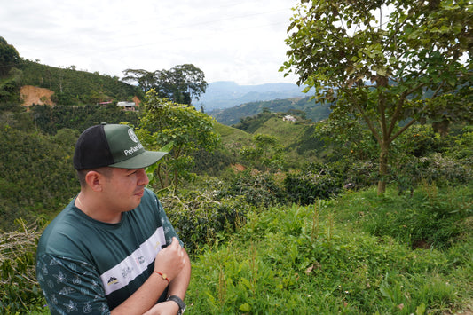 Jhoan Java: an example of next level fermentation and drying