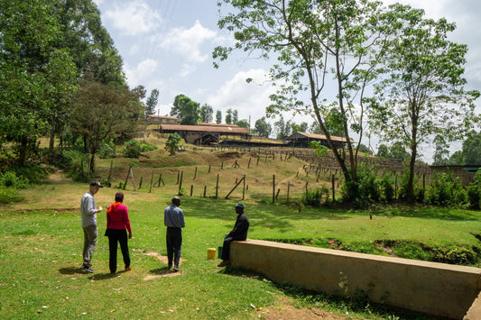 How much is the farmer paid | Konyu