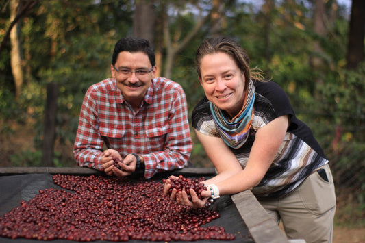 How much is the farmer paid | Anabella