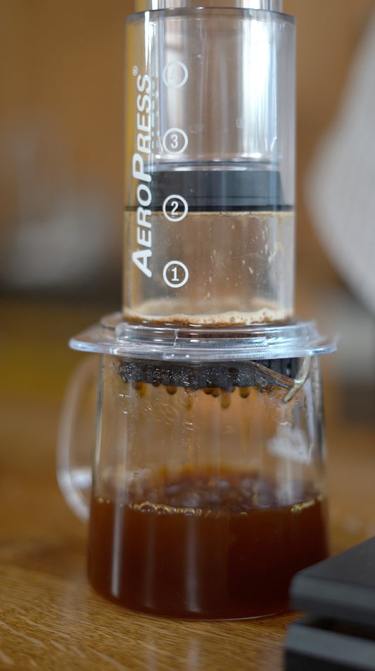 AeroPress brewing coffee 