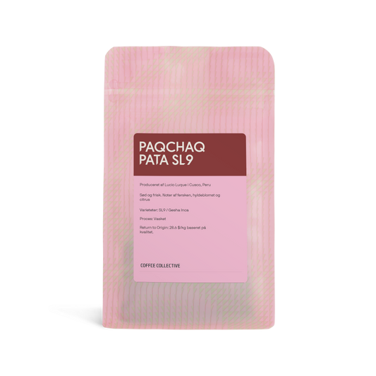 Paqchaq Pata SL9, 200g
