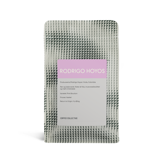 Rodrigo Hoyos, 250g