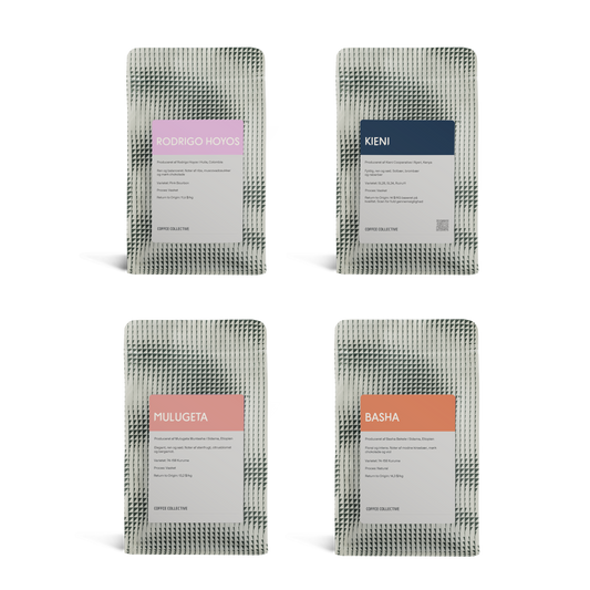 Taster Pack