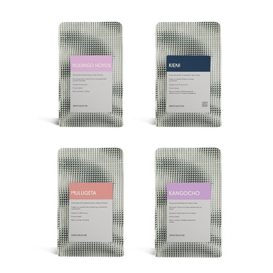 Taster Pack