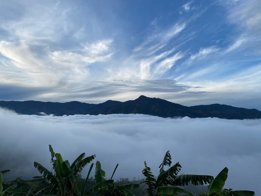 Mountain range partially covered by mist with a blue sky above