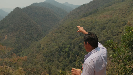 Man pointing towards a mountain range with greenery